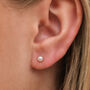 Sterling Silver White Freshwater Pearl Stud Earrings, thumbnail 1 of 6