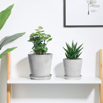 Pack Of Two Stripe Cement Plant Pot With Saucer, 3 of 7