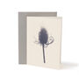 Teasel Grey Note Card, thumbnail 2 of 2