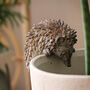 Brown Hedgehog Pot Hanger, thumbnail 3 of 4