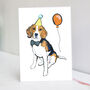 Beagle Birthday Card, thumbnail 1 of 3