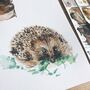 Personalised Hedgehog Watercolour Art Print, thumbnail 2 of 5