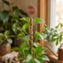 Copper Spiral Plant Support Stake, thumbnail 7 of 9
