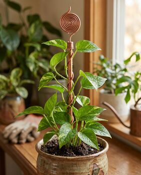 Copper Spiral Plant Support Stake, 7 of 9