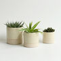 Handmade Ceramic Plant Pots Set Of Two Or Three, thumbnail 3 of 9