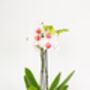 Phalaenopsis Orchid Plant With Ceramic Pot, thumbnail 4 of 12