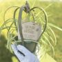 Personalised Home Sweet Home Metal Crown Planter, thumbnail 1 of 6
