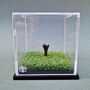 Golf Ball Display Case, thumbnail 4 of 10