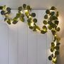Eucalyptus String Lights, thumbnail 1 of 4