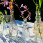 Set Of Six Glass Bottle Vases With Cork Stoppers, thumbnail 4 of 8
