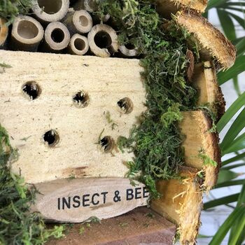 Beneficial Busy Bee And Insect House, 7 of 7