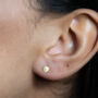Gold Filled Circle Stud Earrings, thumbnail 2 of 11