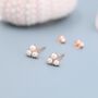 Sterling Silver Pearl Trefoil Stud Earrings, thumbnail 3 of 12