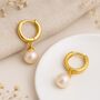 Gold Plated Sterling Silver Pearl Hinged Huggie Hoop Earrings, thumbnail 1 of 6