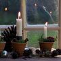 Three Very Large Natural Pine Cones, thumbnail 3 of 3