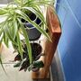 Vertical Plant Pot Stand, thumbnail 3 of 7