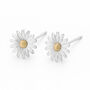Sterling Silver And Gold Daisy Stud Earrings – 7mm, thumbnail 2 of 8