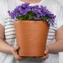 60th Birthday Personalised Plant Pot, thumbnail 1 of 6