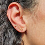 Scorpio Star Sign Constellation Astrology Tiny Earrings, thumbnail 2 of 4