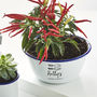 Personalised Indoor Garden Planter, thumbnail 1 of 3