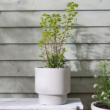 Noma Beige Footed Planter, 2 of 8