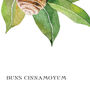 Botanical Cinnamon Roll Art Print, thumbnail 3 of 10