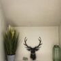 Stags Head Large Antler Metal Wall Plaque, thumbnail 3 of 5