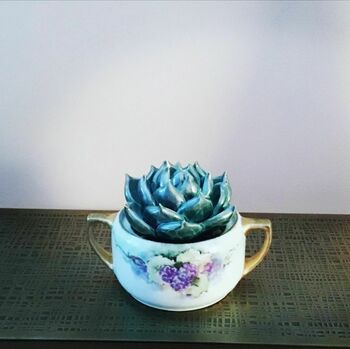 Ceramic Cactus Decorate Your Table, Wall, Terrarium, 6 of 11