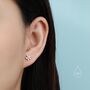 Sterling Silver Tiny Little Forget Me Not Flower Screw Back Earrings, thumbnail 8 of 12