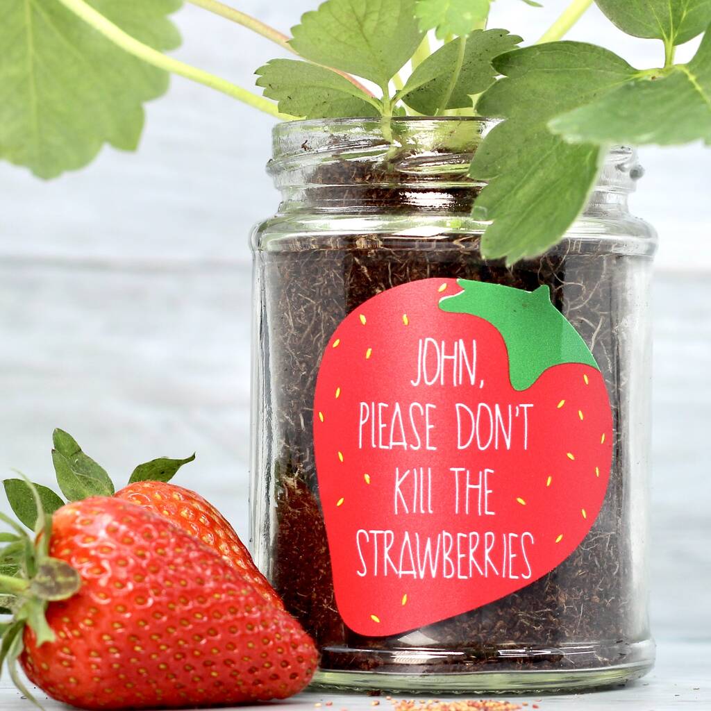 Personalised 'Don't Kill Me' Strawberry Jar Grow Kit, 1 of 11