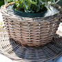 Hand Woven Grey Wash Wicker Tea Cup Planter, thumbnail 4 of 9