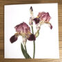 Bumble Bees And Floral Blank Botanical Art Cards, thumbnail 4 of 6