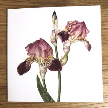 Bumble Bees And Floral Blank Botanical Art Cards, 4 of 6