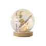 Glass Globe Dome With Dried Flora And LED, thumbnail 4 of 6