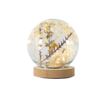 Glass Globe Dome With Dried Flora And LED, 4 of 6