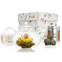 Prestige Flowering Tea Gift Set, thumbnail 1 of 7