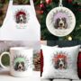 Personalised Christmas English Setter Break Through, thumbnail 1 of 10