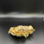 William Morris Oyster Shell, thumbnail 2 of 3