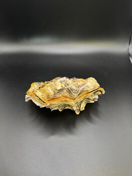William Morris Oyster Shell, 2 of 3