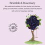 Bramble And Rosemary 12x250ml, thumbnail 2 of 6