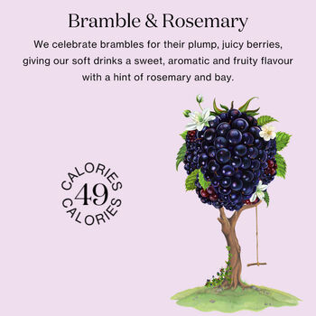 Bramble And Rosemary 12x250ml, 2 of 6
