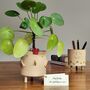 Handmade Teacher Thank You Gift Plant Pencil Pot Chicken, thumbnail 4 of 8