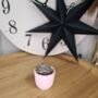 Small Succulent Houseplant In Ceramic Pot, thumbnail 3 of 9