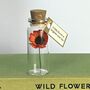 Tiny Gerbera Daisy In A Bottle With Personalised Tag, thumbnail 5 of 11