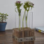 Reclaimed Wood Test Tube Flower Vase, thumbnail 1 of 4