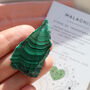 Malachite Rough Crystal – Polished Slices – Gift Bag, thumbnail 1 of 8