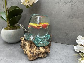 16cm Molten Glass Bowl On Teak Root Fruit And Nut Dish Wooden, 2 of 10