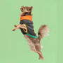 Smiley Knitted Dog Jumper, thumbnail 5 of 5
