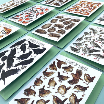 Wildlife Collective Nouns Greetings Card Pack, 5 of 11