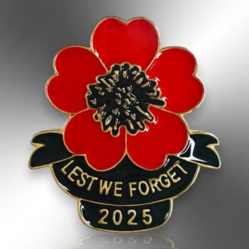 Lest We Forget Poppy Remembrance Sunday, Armistice Day Enamel Pin Brooch, 3 of 8